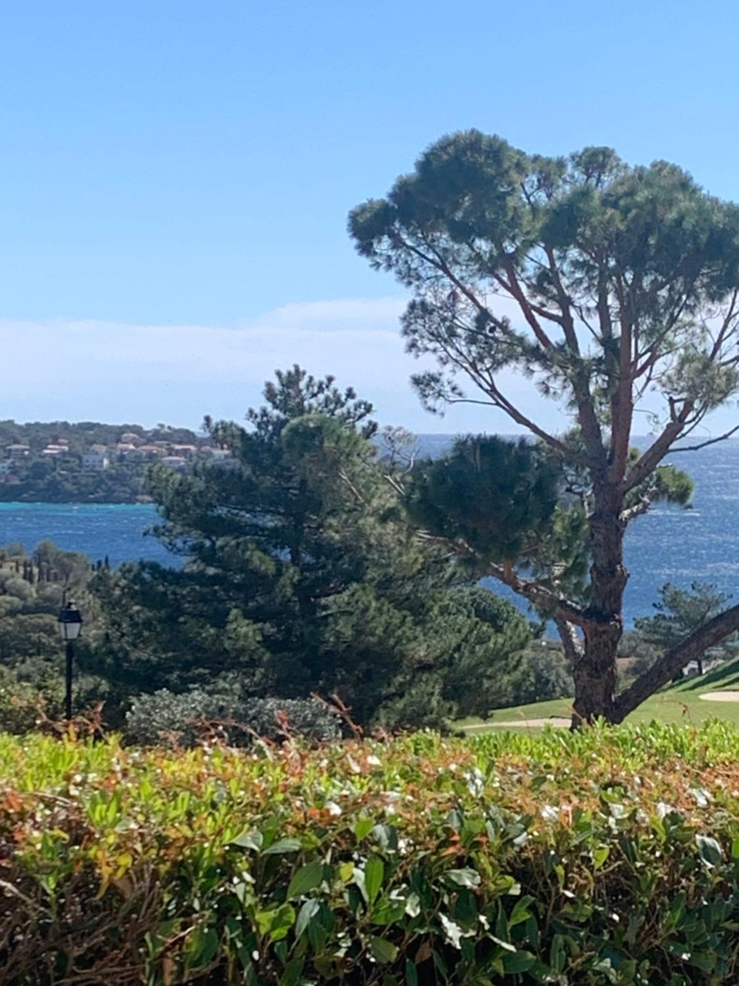 T2 En Rez De Jardin Privatif Cloture , Cap Esterel Pierre Et Vacances ,Piscine Chauffee Des Le 05 Avril Au 02 Novembre Saint-Raphaël 외부 사진