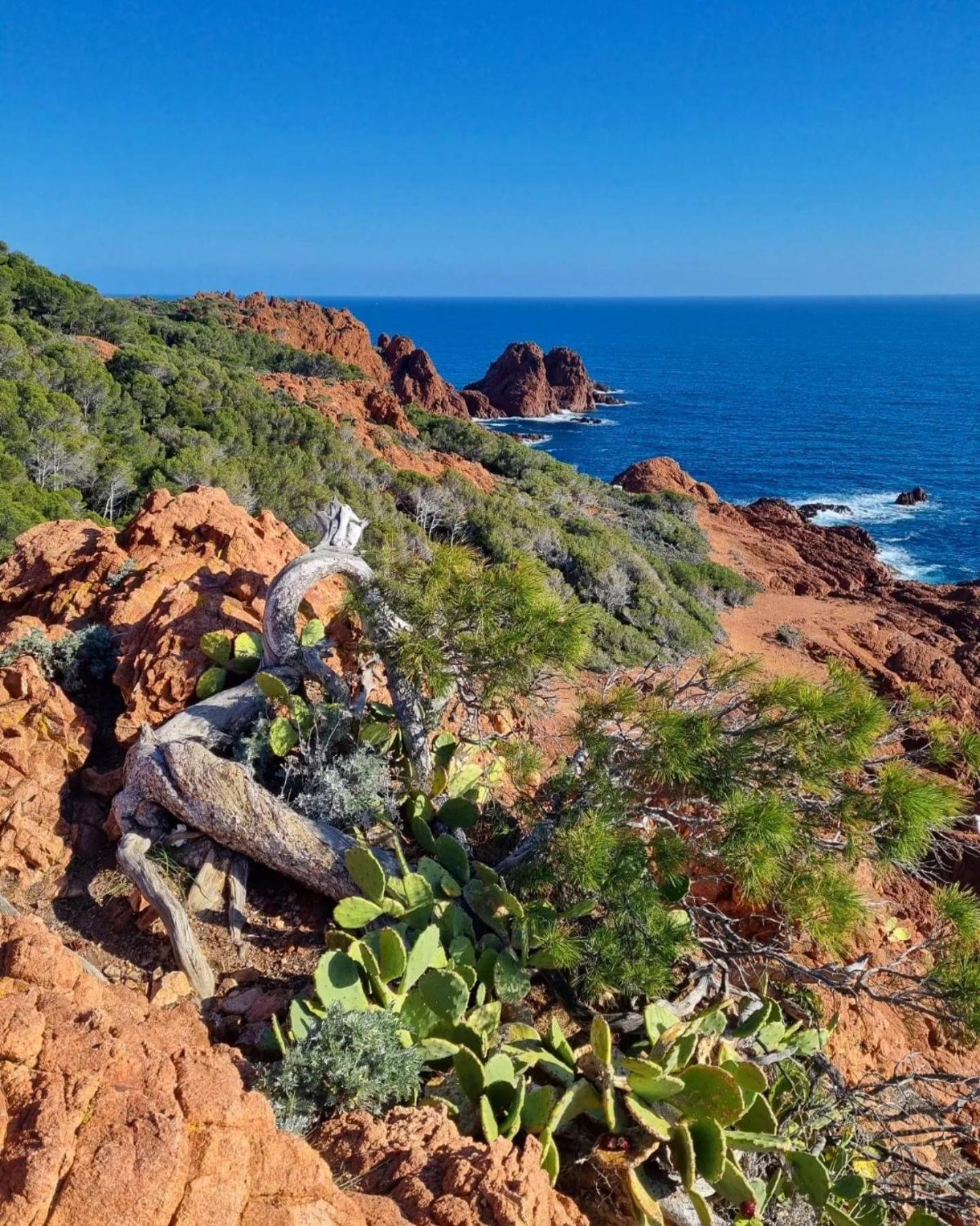 T2 En Rez De Jardin Privatif Cloture , Cap Esterel Pierre Et Vacances ,Piscine Chauffee Des Le 05 Avril Au 02 Novembre Saint-Raphaël 외부 사진