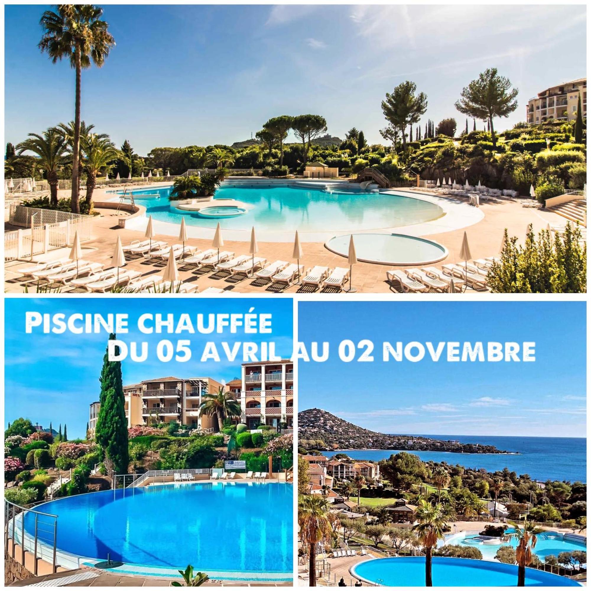 T2 En Rez De Jardin Privatif Cloture , Cap Esterel Pierre Et Vacances ,Piscine Chauffee Des Le 05 Avril Au 02 Novembre Saint-Raphaël 외부 사진